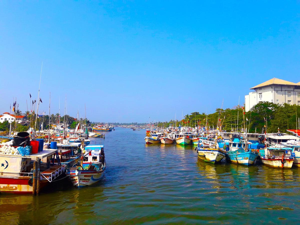 Nico Lagoon Hotel Negombo Exteriör bild